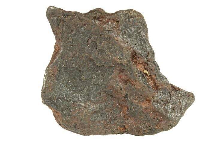 Canyon Diablo Iron Meteorite ( g) - Arizona #270772